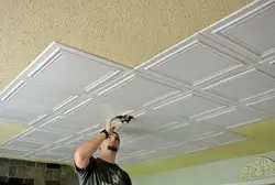 Apartment Ceiling Tiles Photo