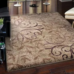 Modern Carpets For The Kitchen Photo
