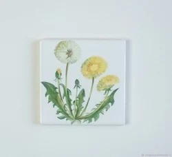 Bathroom dandelion photo