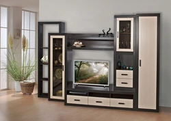 Wardrobe slide in the living room photo