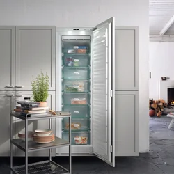 Kitchen Freezer Design