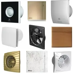 Categories 