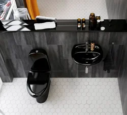 Bathroom design with black toilet and sink