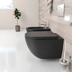 Bathroom design with black toilet and sink