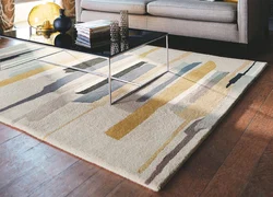 Modern Carpets For The Living Room Photo