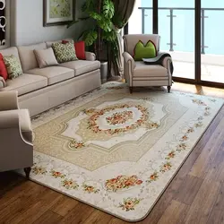 Modern carpets for the living room photo