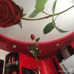 Фото натяжных потолков с цветами в кухне