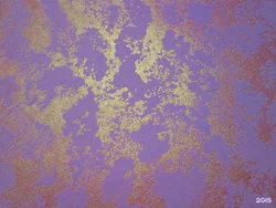 Plaster world map in the kitchen photo
