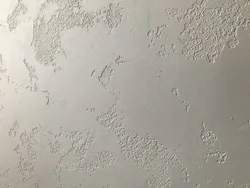 Oshxonadagi fotosuratda gips dunyo xaritasi