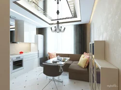 Apartment design 45 sq m with kitchen