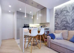 Apartment design 45 sq m with kitchen