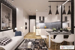 Apartment design 45 sq m with kitchen