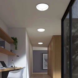Ceiling Lamps For Suspended Ceilings In The Hallway Photo