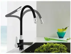 Kitchen faucet with flexible spout photo