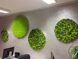 Mətbəxin Daxili Hissəsində Sabitləşdirilmiş Yosun