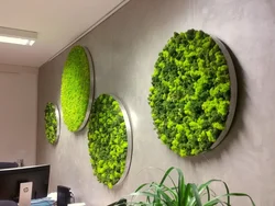Stabilized moss in the kitchen interior