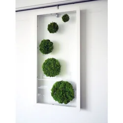 Stabilized moss in the kitchen interior
