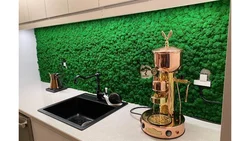 Мох Стабилизированный В Интерьере Кухни