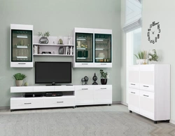 Ҳуҷраи зиндагӣ девори Camellia акс