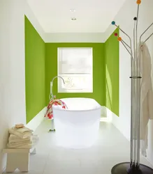 What paint to paint the walls in the bathroom with photo