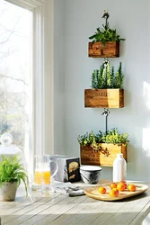 Artificial Plants In The Kitchen Interior