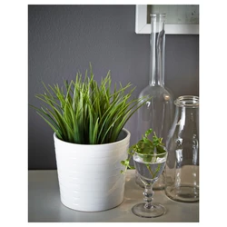 Artificial Plants In The Kitchen Interior