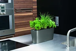 Artificial plants in the kitchen interior