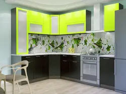 Аксҳои ҳама ошхонаҳои пластикӣ