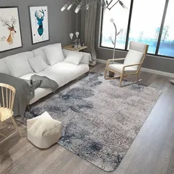 How to choose a carpet for the floor in the living room photo