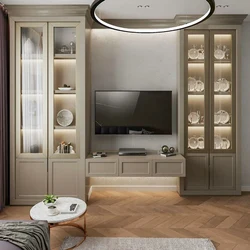 Modern Cabinets For Dishes In The Living Room Photo