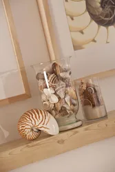 Shells in the bathroom interior