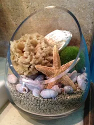 Shells in the bathroom interior