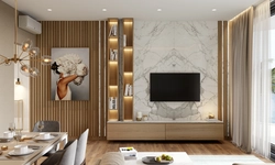 Design of walls in the living room with a TV in the interior