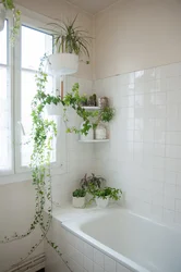 Photo flowers in the bathroom photo