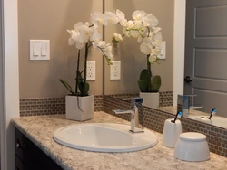 Photo flowers in the bathroom photo
