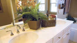 Photo flowers in the bathroom photo
