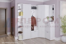 Долон Лером акс Карина