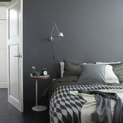 Graphite Color In The Bedroom Interior Photo