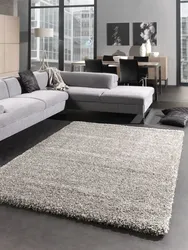 Carpet In The Living Room In A Modern Style Photo