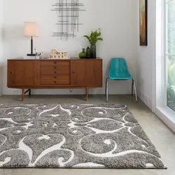 Carpet in the living room in a modern style photo