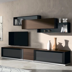 Wall cabinets for the living room modern photos