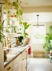 Flowers in the kitchen in the interior on the wall