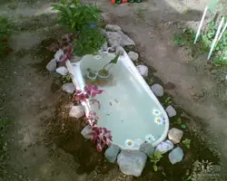 Пруд Из Ванной На Даче Фото