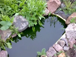Pond from the bathroom at the dacha photo