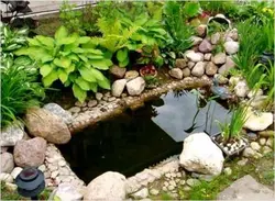 Pond From The Bathroom At The Dacha Photo