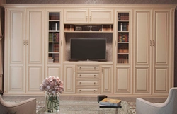 Classic walls in the living room modern photos