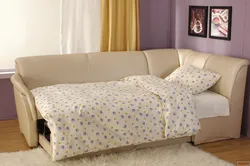 Small Sofa With Sleeping Place In The Room Photo