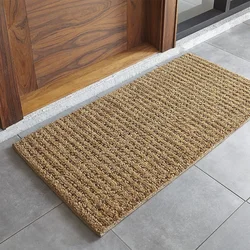 Rug by the door in the hallway photo