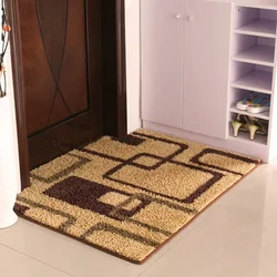 Rug By The Door In The Hallway Photo