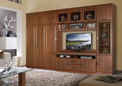 Furniture walls for the living room inexpensively photo
